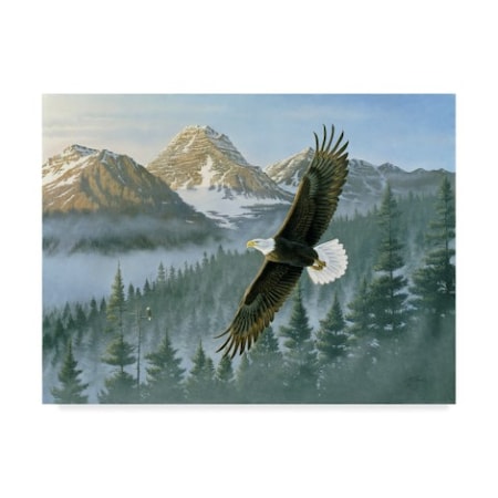Wilhelm Goebel 'Soaring Eagle' Canvas Art,18x24